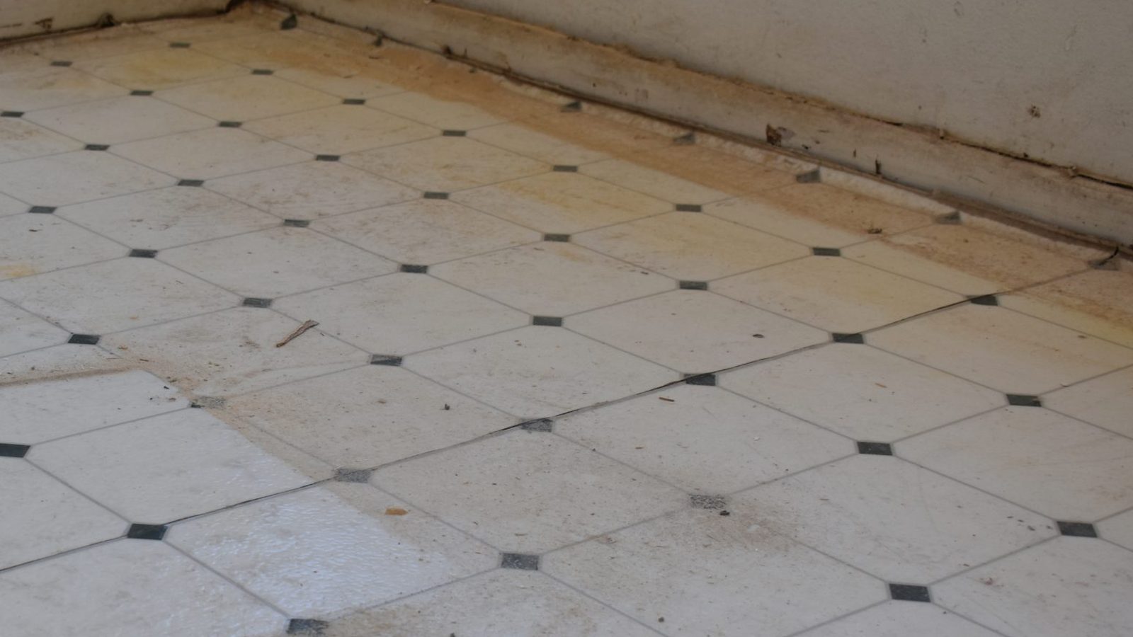 Grout before refresh